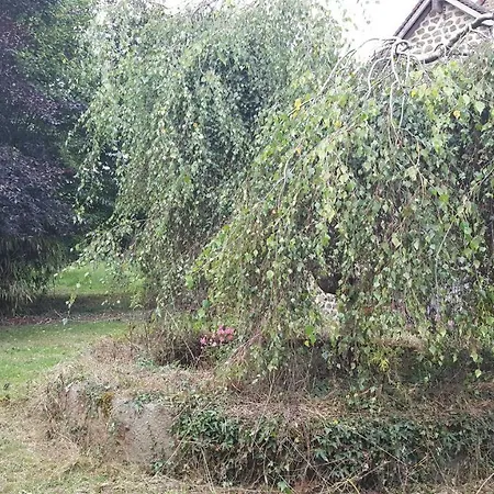 Espace Nature La Boderie Sainte-Honorine-la-Chardonne